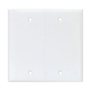 BLANK PLATE TWO GANG