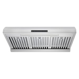 Akron 850CFM 30'' Stainless Steel Under Cabinet
